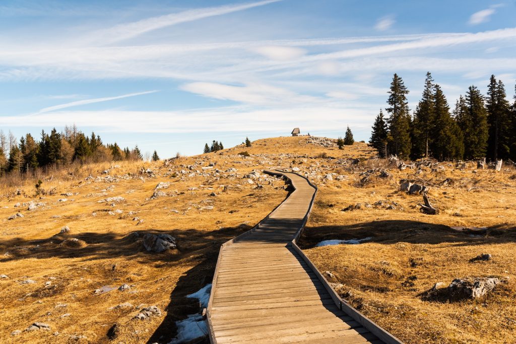 Wooden path at the top of schockl mountain in Graz Austria leading to view point.